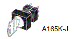 A165K 种类 4 