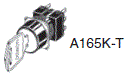 A165K 种类 10 