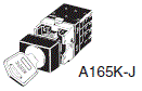 A165K 种类 13 