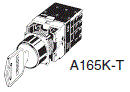 A165K 种类 17 