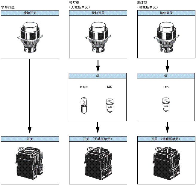 A22 种类 9 