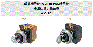 A30NK 种类 1 