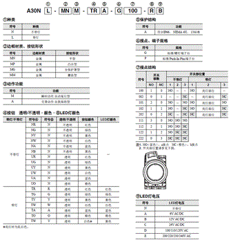 A30NN/A30NL 种类 6 